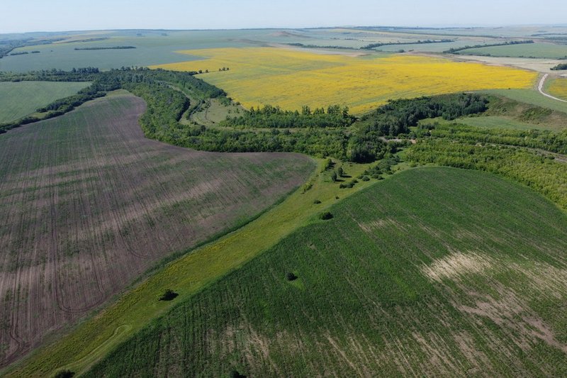 Ауыл шаруашылығы министрлігі алқаптардың электрондық карталары бойынша талапты екі жылға кейінге қалдырды