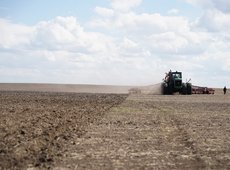 Форвардный закуп красной чечевицы начался в Казахстане