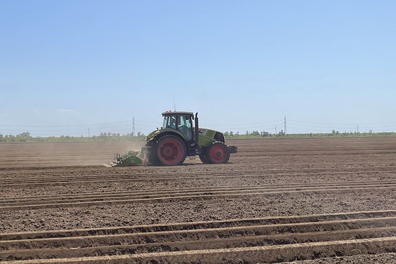 Ауыл шаруашылығы министрлігінде егістікке дайындық жөніндегі Штаб құрылады