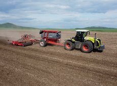 Посевы пшеницы в Казахстане сократят до 12,1 млн га