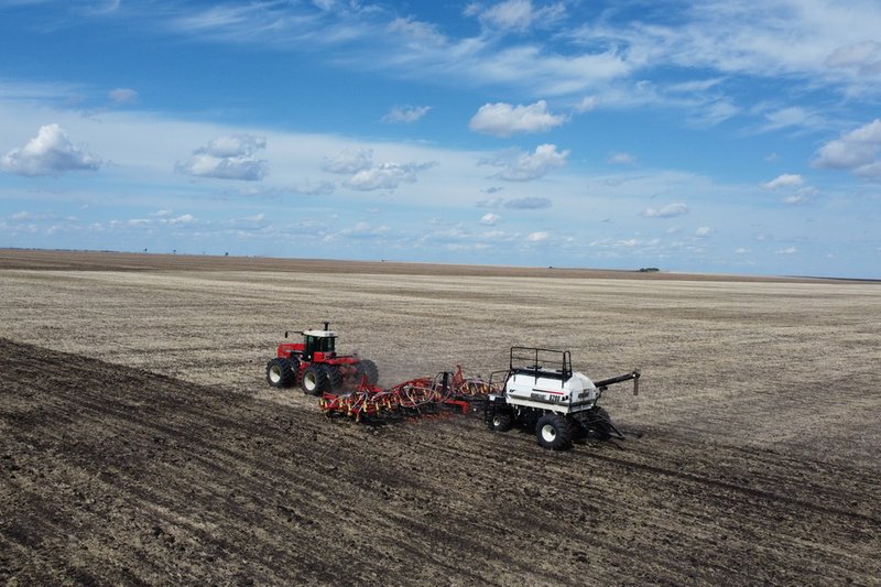 Посевы пшеницы в Казахстане сократят на 125 тыс. га