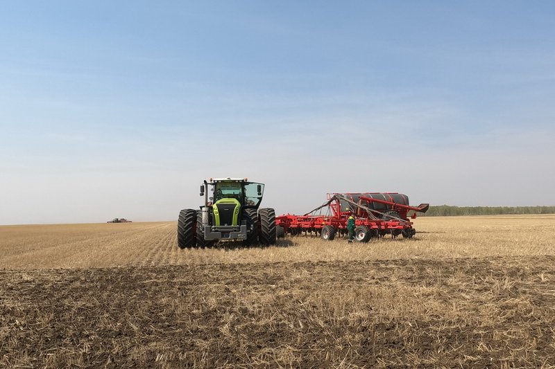 Посевы зерновых сократят в Карагандинской области
