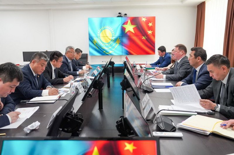 Запустить глубокую переработку зерна намерена китайская компания в Казахстане