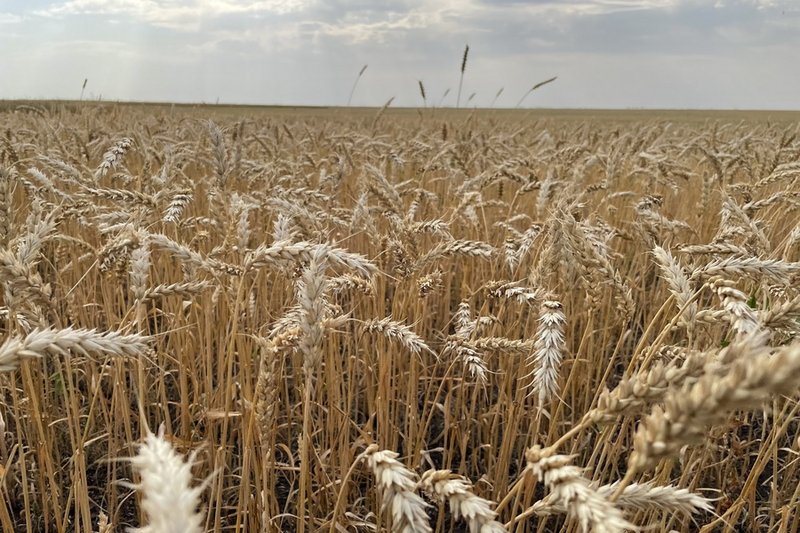 Ростом долгов по субсидиям перед фермерами обеспокоены депутаты