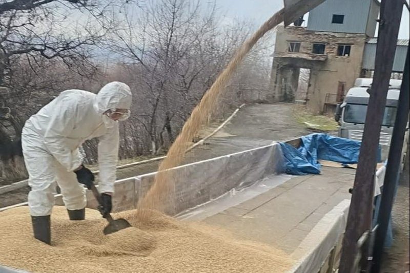 Резерв кормов формируют в Туркестанской области