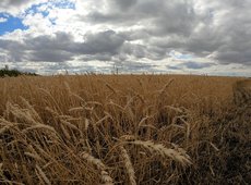 КАФ профинансирует приобретение мобильных зерносушилок