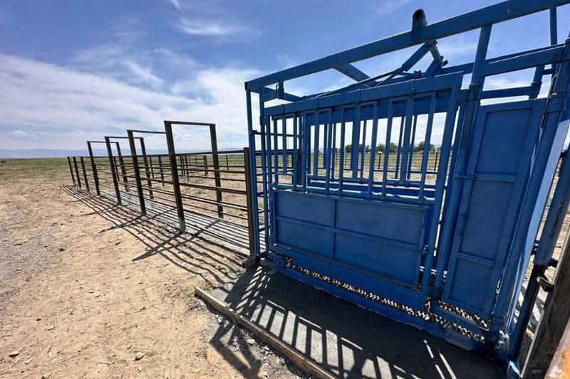 Расколы для ветеринарных манипуляций строят в области Абай