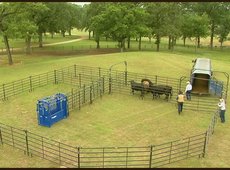 Загоны с расколами строят в Костанайской области