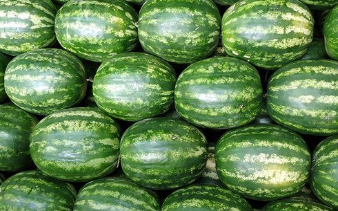 Арбуз сорт Ред Хевен