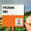 РУСЛАНА KBC қант қызылшасы сұрпы