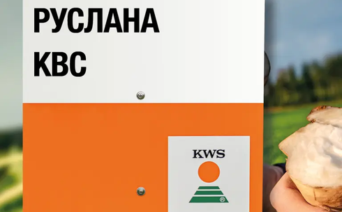 РУСЛАНА KBC қант қызылшасы сұрпы