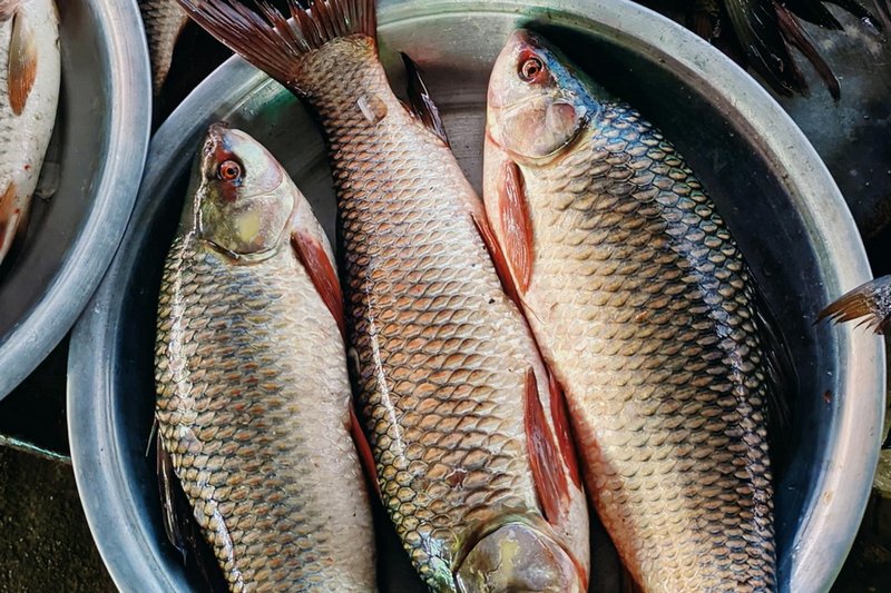 Казахстан сможет экспортировать в Азербайджан рыбу и мед