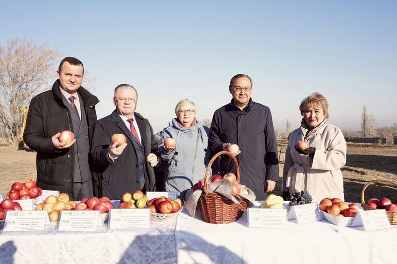 Мичуринский сад заложили в Казахстане