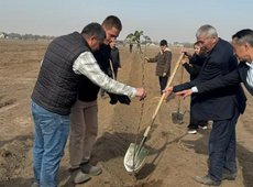 Апортовый сад на 10 га заложен близ Алматы