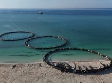 Лососевые виды рыб будут выращивать в Казахстане