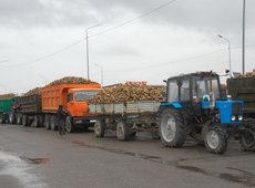 Приёмку сахарной свеклы начали два завода в Жетысу
