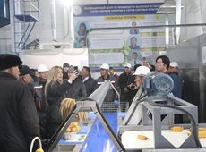 Линию по сушке и сортировке семян кукурузы и сорго запустили в КазНИИЗиР