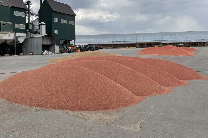 Консорциум Qazaq Tuqym создают в Казахстане