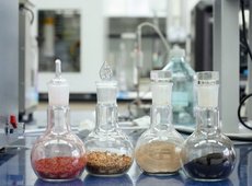 Новый способ защиты семян разработали в Казахстане