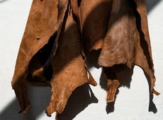 В Казахстане восстанавливают переработку шерсти и шкур