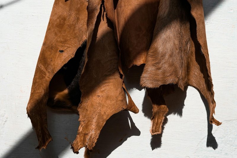 В Казахстане восстанавливают переработку шерсти и шкур