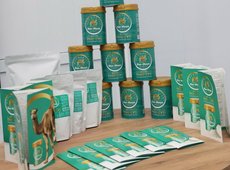 Производство сухого верблюжьего молока запустили в Мангистау