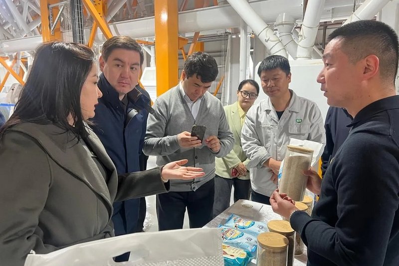 Продкорпорация планирует поставлять до 0,5 млн тонн зерна на завод в СКО