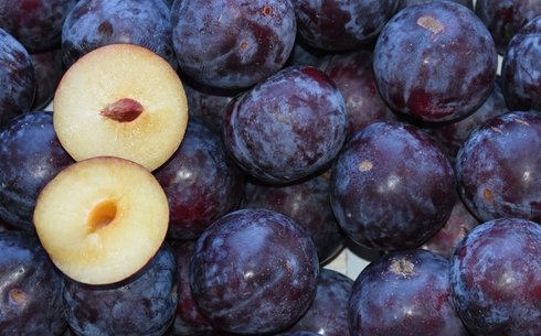 Слива сорт Блек Стар