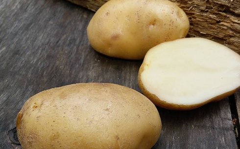 Картофель сорт София