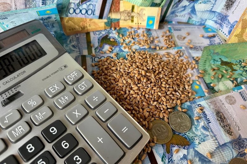 Платформу для кредитования по «Ауыл аманаты» запустили в Казахстане