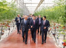 Тепличный комплекс с участием турецких инвесторов запущен в Шымкенте