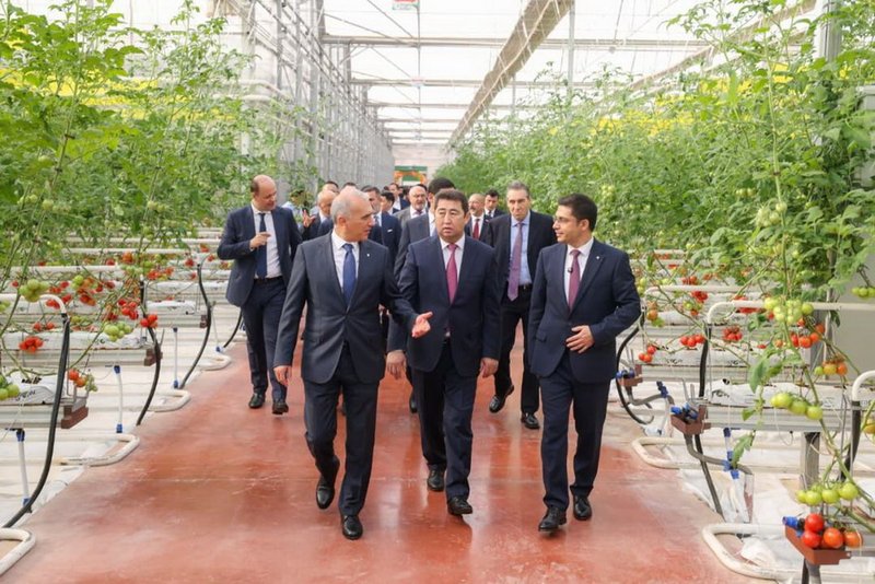 Тепличный комплекс с участием турецких инвесторов запущен в Шымкенте