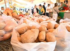 Масштабная акция «Береке Fest» пройдет в торговых сетях Казахстана