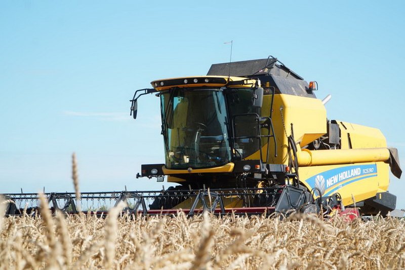 В Акмолинской области собрали рекордные 7,6 млн тонн зерна