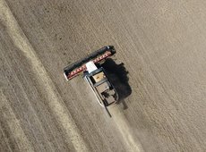 Около 1 млн тонн зерна планируют собрать в Карагандинской области