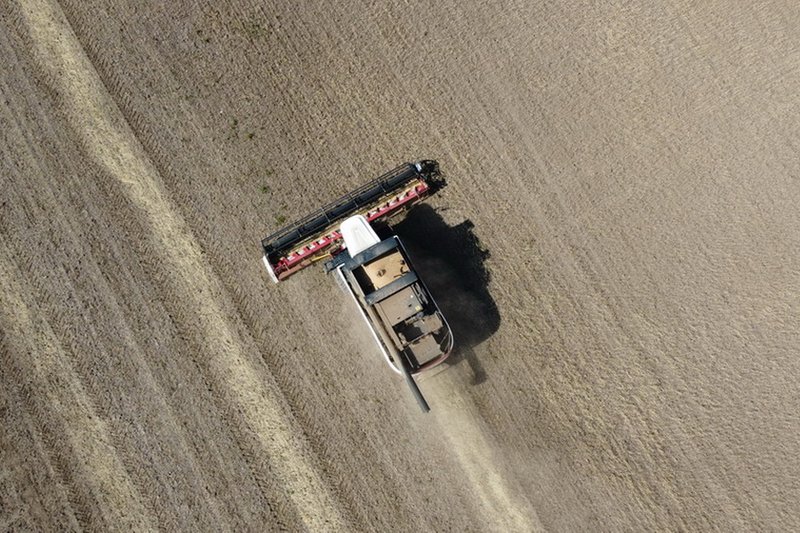 Около 1 млн тонн зерна планируют собрать в Карагандинской области