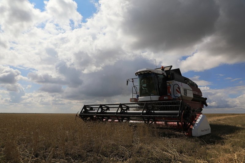 Шаруалар астыққа әділ баға белгілеуді сұрайды