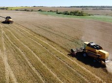 Казахстан прогнозирует урожай зерна в объеме 21,7 млн тонн