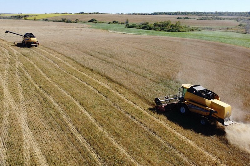 Казахстан прогнозирует урожай зерна в объеме 21,7 млн тонн