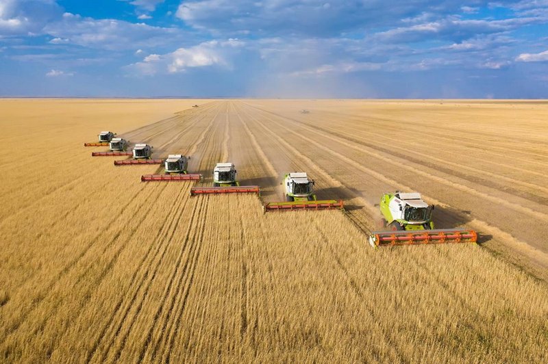 Рекордные 7,1 млн тонн зерна собрали в Акмолинской области