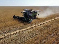Уборка зерна в Казахстане близится к завершению