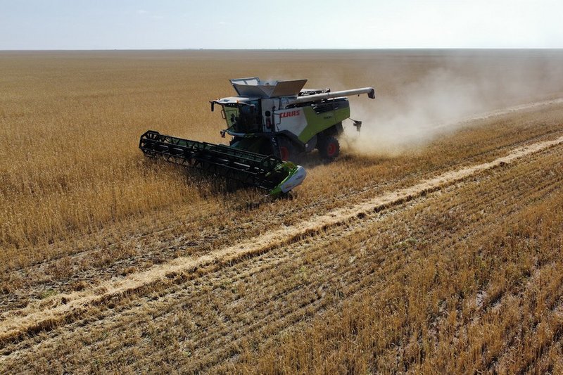 Уборка зерна в Казахстане близится к завершению