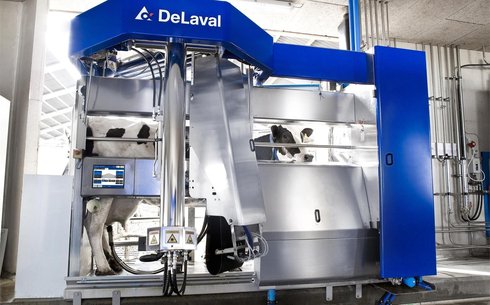 DeLaval VMS V300 робот сауыншысы