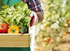 Закон о господдержке садоводческих хозяйств разрабатывают в Казахстане