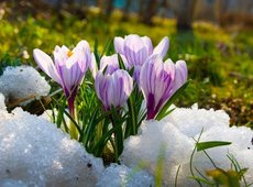 Весна в зерносеющие регионы Казахстана придет в апреле