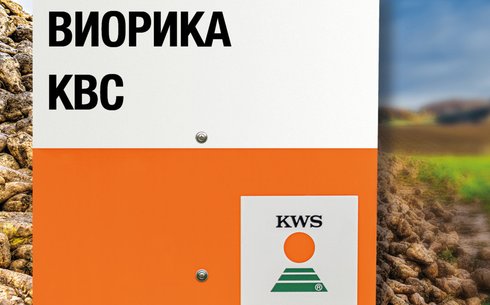 ВИОРИКА KBC қант қызылшасы сұрпы