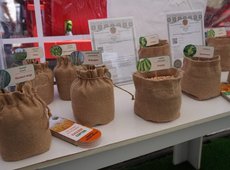 Минсельхоз продолжит раннее кредитование посевных работ