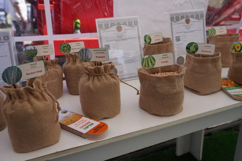 Минсельхоз продолжит раннее кредитование посевных работ