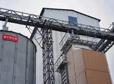 В Павлодарской области начнут переработку подсолнечника