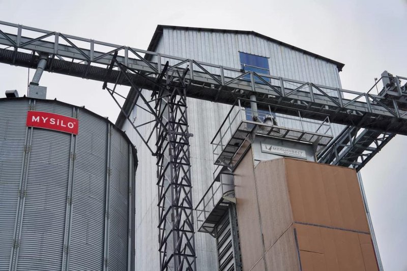 В Павлодарской области начнут переработку подсолнечника